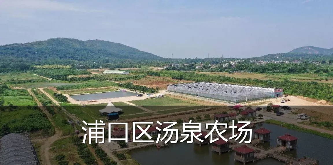 浦口区汤泉农场